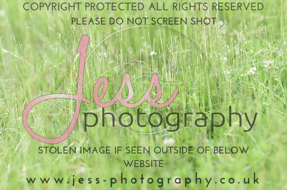 JES_8774