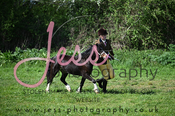 TGIS (296)