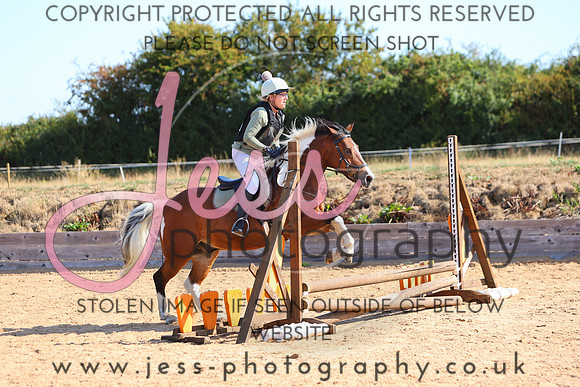 TSJ_0311