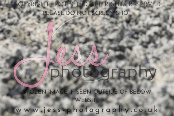 JES_6240