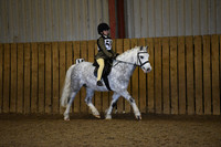 Dressage