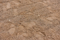 JPG_4170