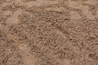 JPG_4223