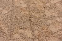 JPG_4234