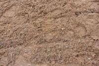 JPG_4195