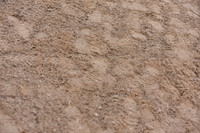 JPG_4257