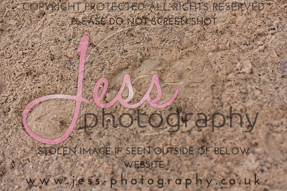 JPG_4414