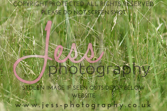JES_8805