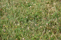 JPG_6991