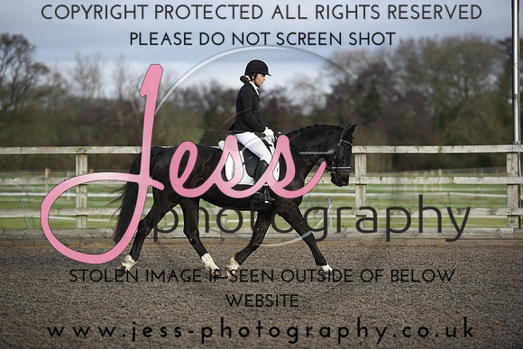 _JES1528