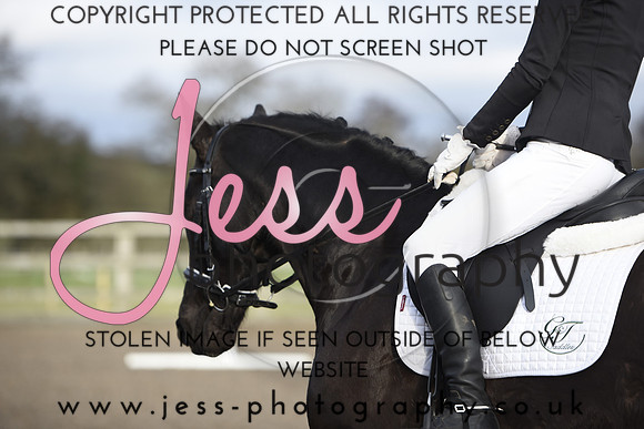 _JES1531