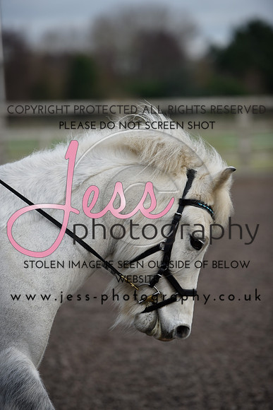 _JES1583