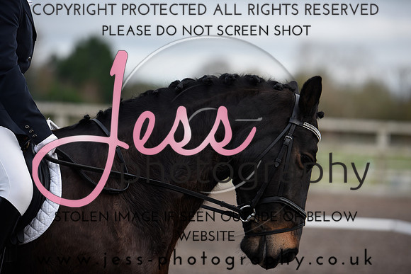 _JES1646