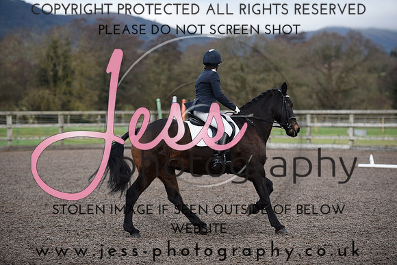 _JES1653
