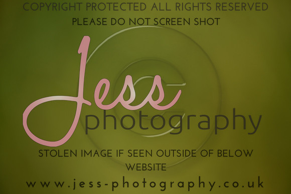 JES (331)