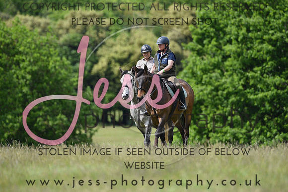 JES (81)