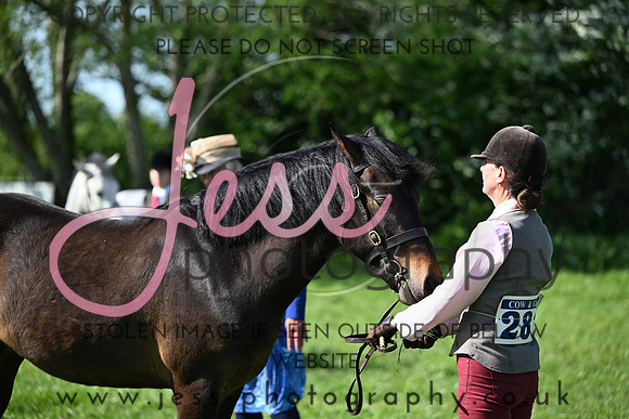 TGIS (337)