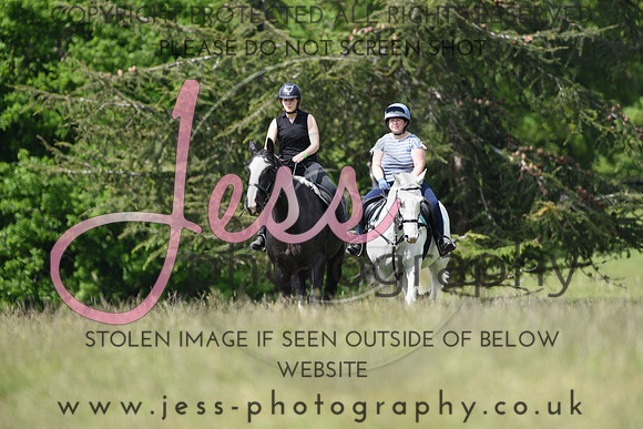 JES (71)