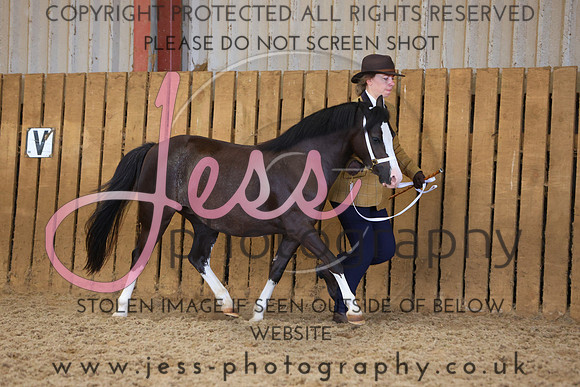TGS_0947