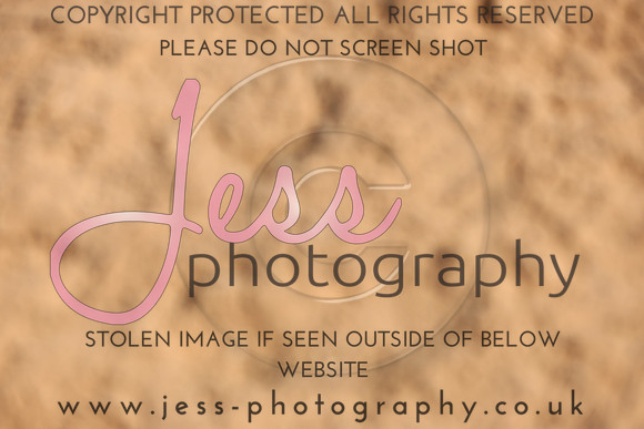 TSJ_0649