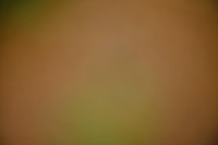 ACE_0284