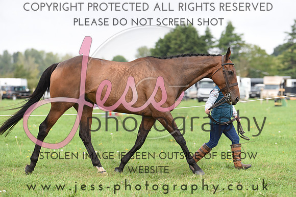 JES_0535