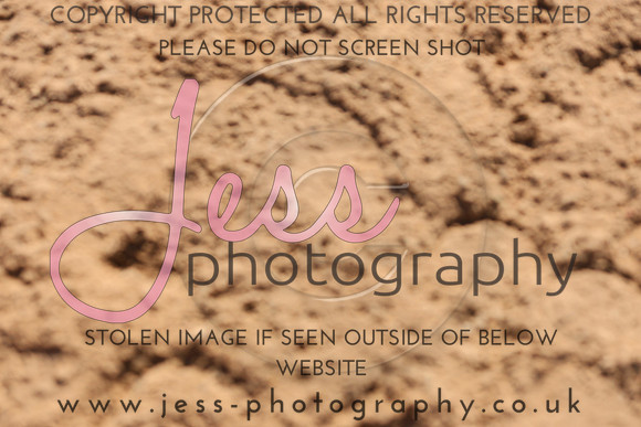 TSJ_0386
