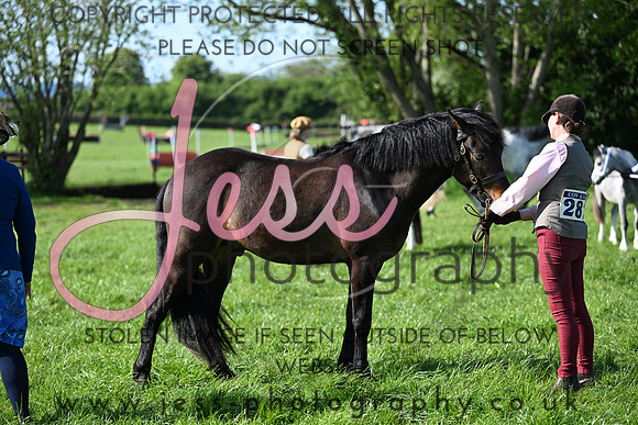 TGIS (429)