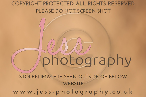 TSJ_0533