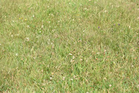 JPG_6535