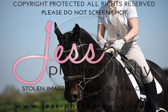 JES (227)
