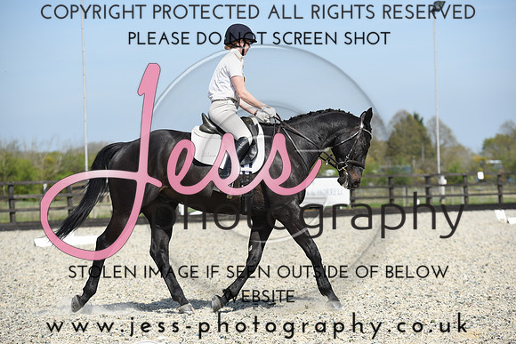 JES (231)