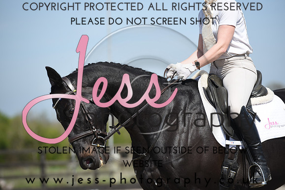 JES (234)