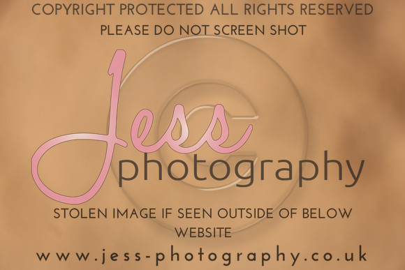 TSJ_0487