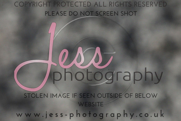 JES_6132