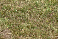JPG_7115