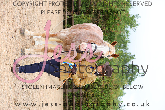 TGS_0687
