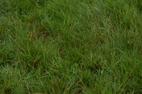 JPG_6666