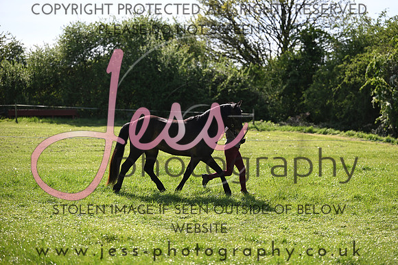 TGIS (383)