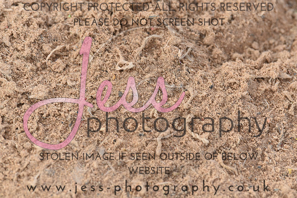 JES_6069