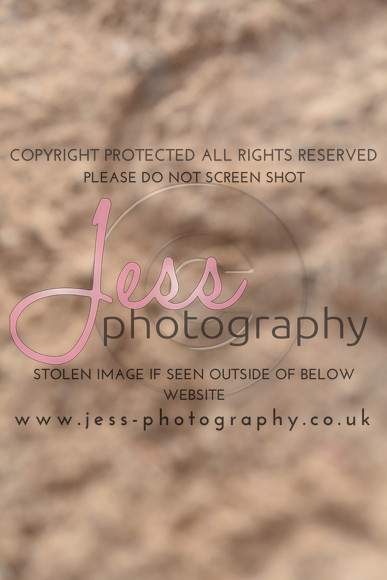 JES_6165