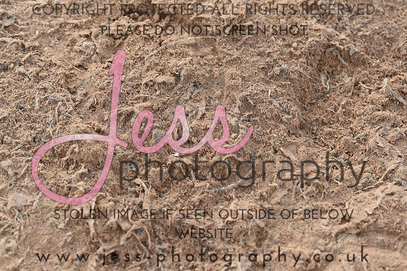 JES_6184