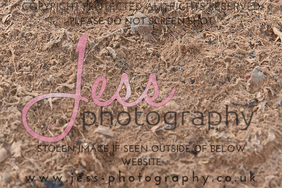 JES_6194