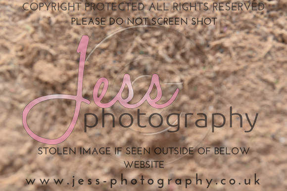 JES_6228