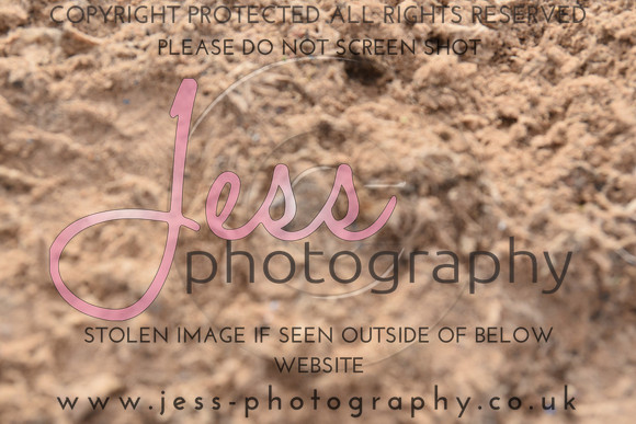 JES_6244