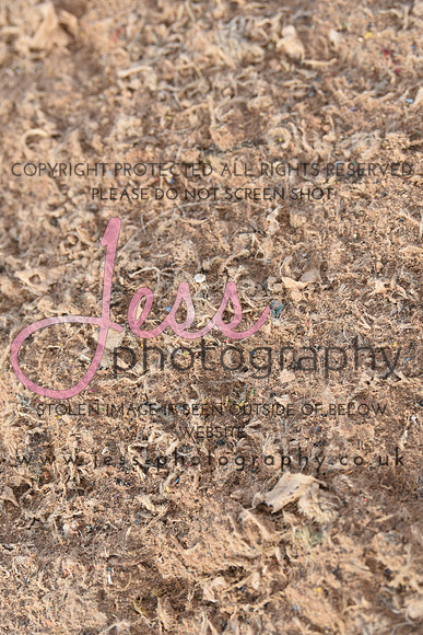 JES_6263
