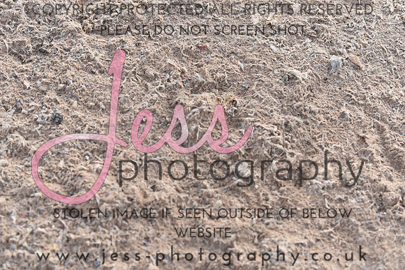JES_6318