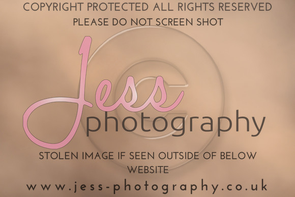 JES_6366