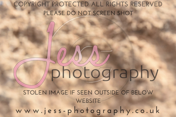 JES_6367