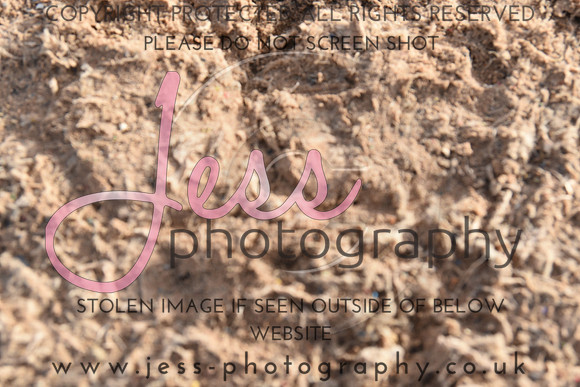 JES_6429